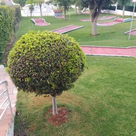 Apartman Levante Gemelos 8 *